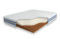 Cocos-Contrast-18-SD33
