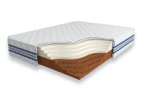 Cocos-Contrast-24-SD675