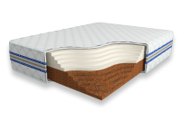 Cocos-Contrast-30-SD63