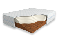 Cocos-Contrast-30-SD77