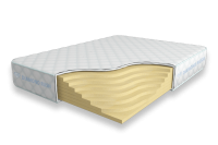 Solid-Basic-21-SD