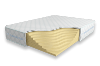 Solid-Basic-24-SD