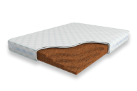 Solid-Cocos-12-DR
