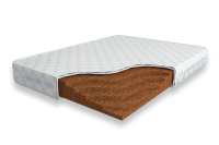 Solid-Cocos-15-DR