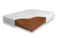 Solid-Cocos-18-DR