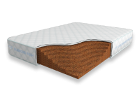 Solid-Cocos-21-DR