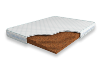 Solid-Cocos-9-DR