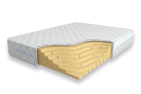 Solid-Latex-21-DR