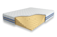 Solid-Latex-24-DR9